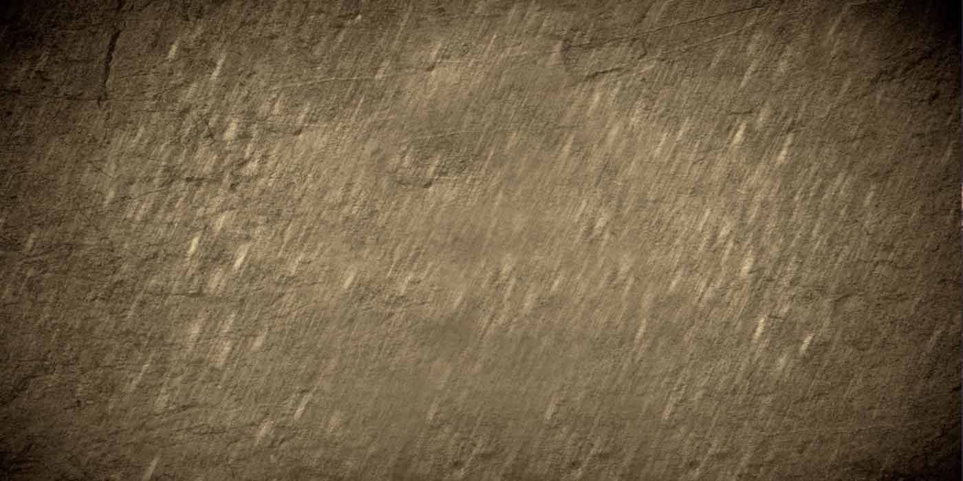 Qiz oyoqlarini yalaydi